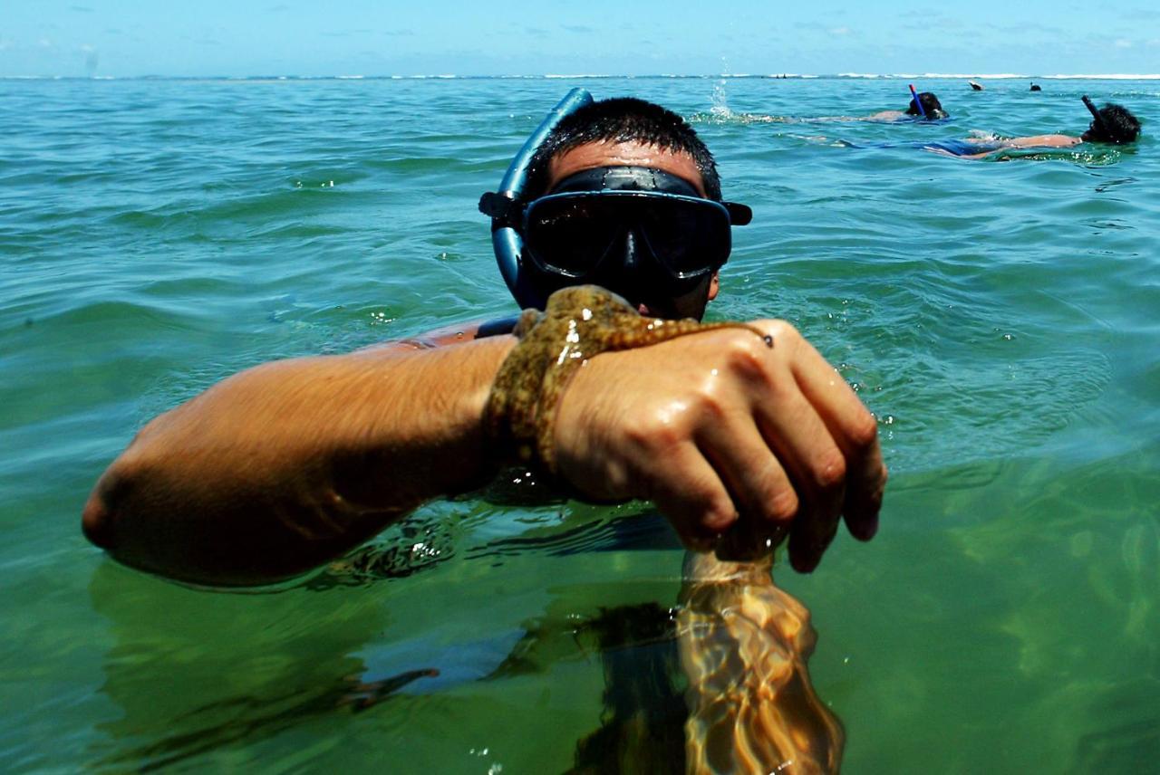 Pousada Lagoa Do Cassange マラウ エクステリア 写真
